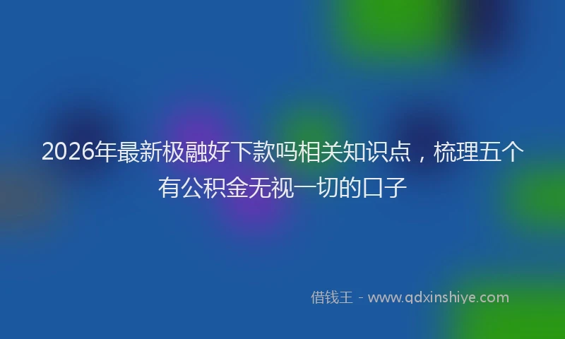 2026年最新极融好下款吗相关知识点，梳理五个有公积金无视一切的口子