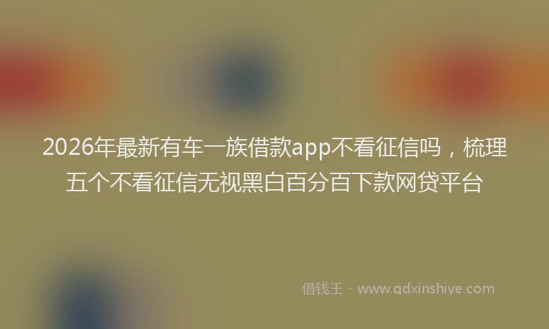 2026年最新有车一族借款app不看征信吗，梳理五个不看征信无视黑白百分百下款网贷平台