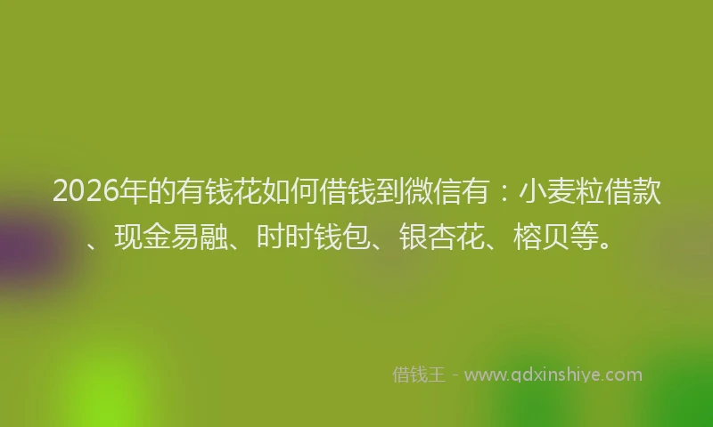 2026年的有钱花如何借钱到微信有：小麦粒借款、现金易融、时时钱包、银杏花、榕贝等。
