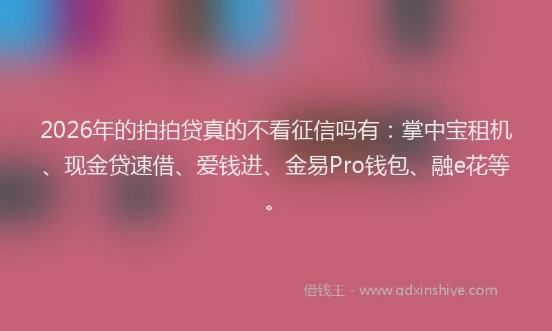2026年的拍拍贷真的不看征信吗有：掌中宝租机、现金贷速借、爱钱进、金易Pro钱包、融e花等。