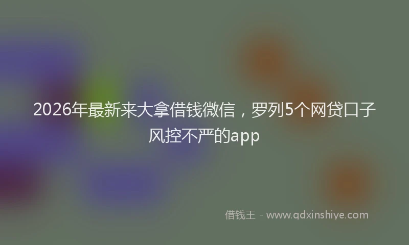2026年最新来大拿借钱微信，罗列5个网贷口子风控不严的app