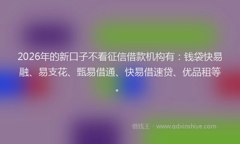 2026年的新口子不看征信借款机构有：钱袋快易融、易支花、甄易借通、快易借速贷、优品租等。