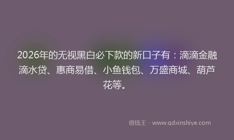 2026年的无视黑白必下款的新口子有：滴滴金融滴水贷、惠商易借、小鱼钱包、万盛商城、葫芦花等。