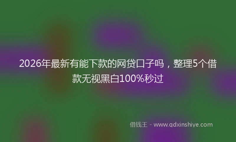 2026年最新有能下款的网贷口子吗，整理5个借款无视黑白100%秒过