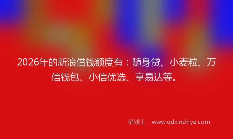 2026年的新浪借钱额度有：随身贷、小麦粒、万信钱包、小信优选、享易达等。
