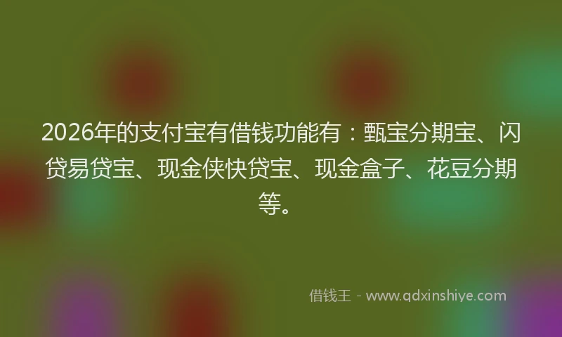 2026年的支付宝有借钱功能有：甄宝分期宝、闪贷易贷宝、现金侠快贷宝、现金盒子、花豆分期等。