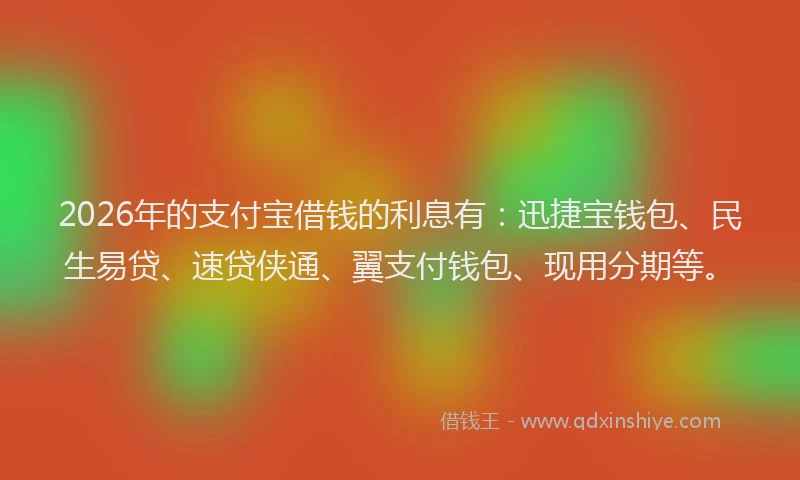 2026年的支付宝借钱的利息有：迅捷宝钱包、民生易贷、速贷侠通、翼支付钱包、现用分期等。
