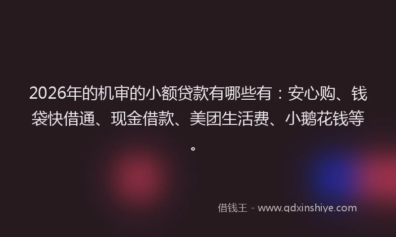 2026年的机审的小额贷款有哪些有：安心购、钱袋快借通、现金借款、美团生活费、小鹅花钱等。