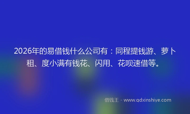 2026年的易借钱什么公司有：同程提钱游、萝卜租、度小满有钱花、闪用、花呗速借等。