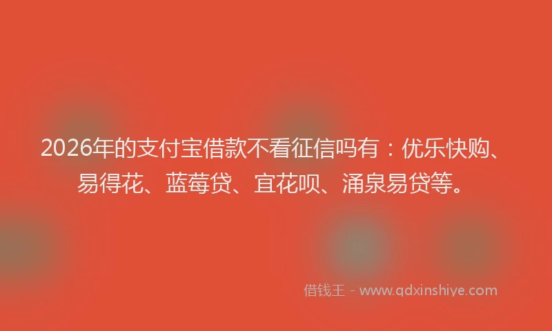 2026年的支付宝借款不看征信吗有：优乐快购、易得花、蓝莓贷、宜花呗、涌泉易贷等。