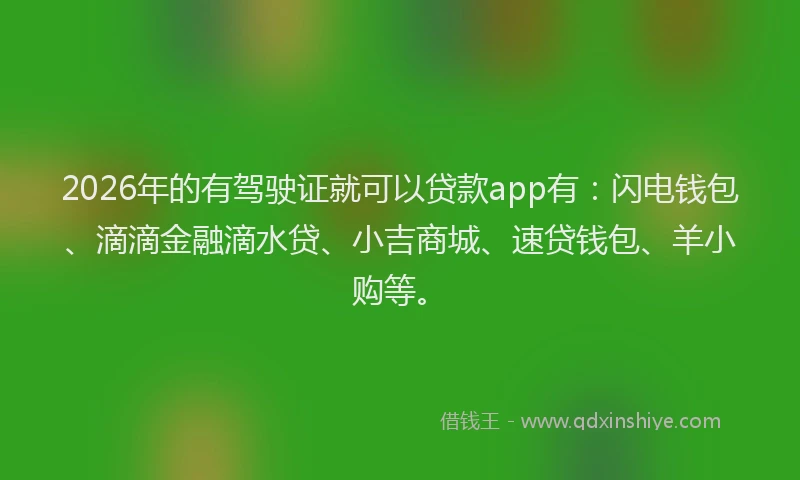 2026年的有驾驶证就可以贷款app有：闪电钱包、滴滴金融滴水贷、小吉商城、速贷钱包、羊小购等。