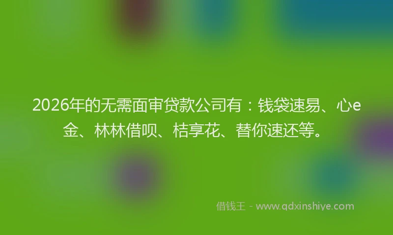 2026年的无需面审贷款公司有：钱袋速易、心e金、林林借呗、桔享花、替你速还等。