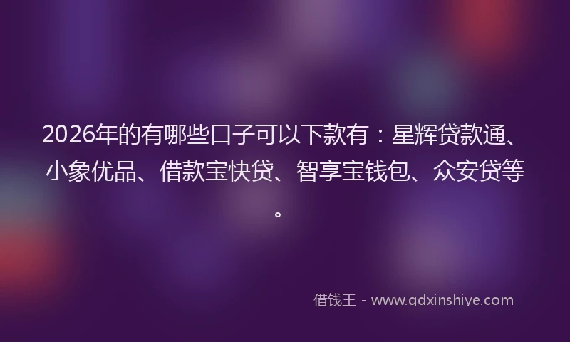 2026年的有哪些口子可以下款有：星辉贷款通、小象优品、借款宝快贷、智享宝钱包、众安贷等。