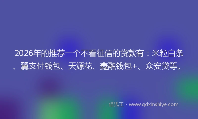 2026年的推荐一个不看征信的贷款有：米粒白条、翼支付钱包、天源花、鑫融钱包+、众安贷等。