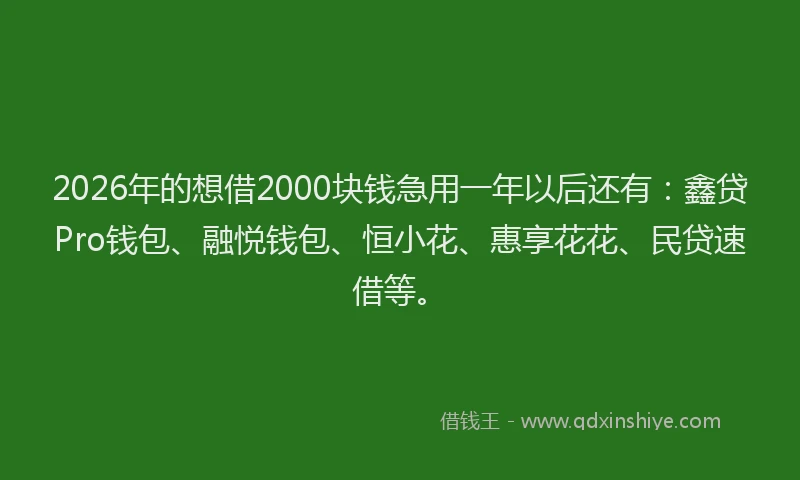 2026年的想借2000块钱急用一年以后还有：鑫贷Pro钱包、融悦钱包、恒小花、惠享花花、民贷速借等。