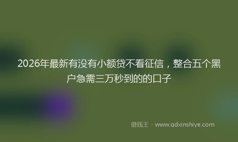 2026年最新有没有小额贷不看征信，整合五个黑户急需三万秒到的的口子