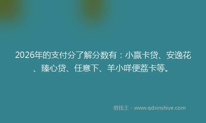 2026年的支付分了解分数有：小赢卡贷、安逸花、臻心贷、任意下、羊小咩便荔卡等。