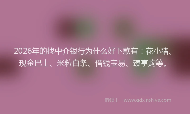 2026年的找中介银行为什么好下款有：花小猪、现金巴士、米粒白条、借钱宝易、臻享购等。