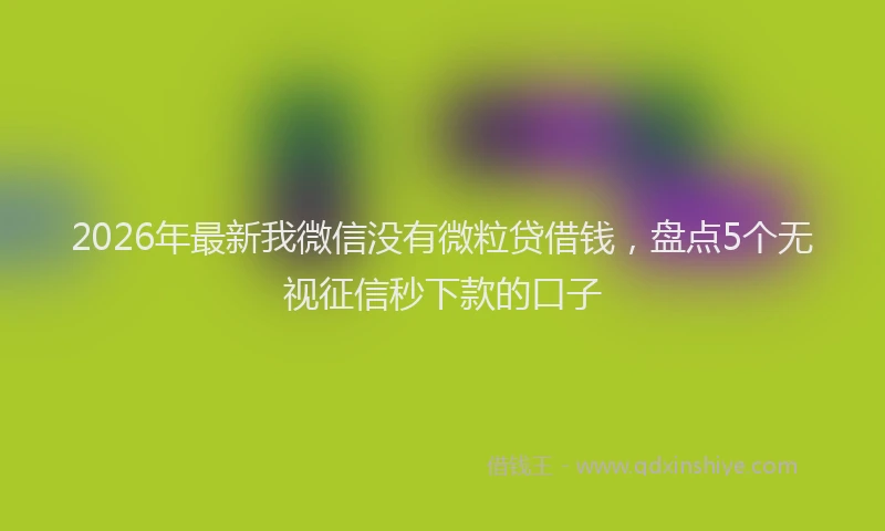2026年最新我微信没有微粒贷借钱，盘点5个无视征信秒下款的口子
