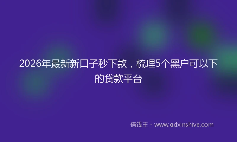 2026年最新新口子秒下款，梳理5个黑户可以下的贷款平台