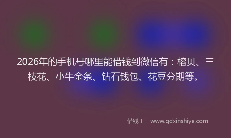 2026年的手机号哪里能借钱到微信有：榕贝、三枝花、小牛金条、钻石钱包、花豆分期等。