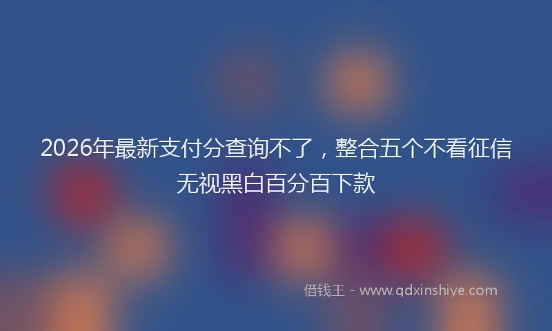 2026年最新支付分查询不了，整合五个不看征信无视黑白百分百下款