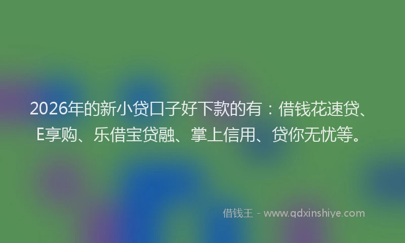 2026年的新小贷口子好下款的有：借钱花速贷、E享购、乐借宝贷融、掌上信用、贷你无忧等。
