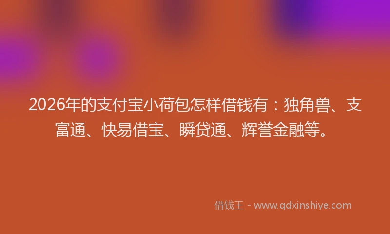 2026年的支付宝小荷包怎样借钱有：独角兽、支富通、快易借宝、瞬贷通、辉誉金融等。