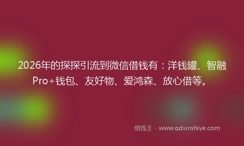 2026年的探探引流到微信借钱有：洋钱罐、智融Pro+钱包、友好物、爱鸿森、放心借等。