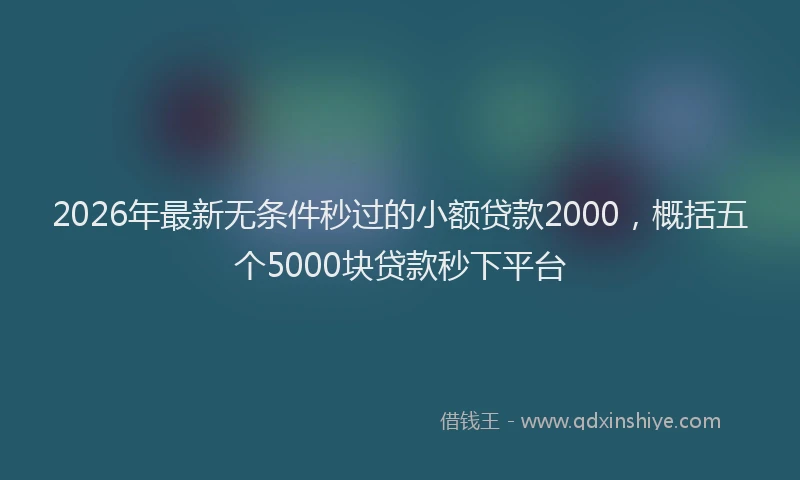 2026年最新无条件秒过的小额贷款2000，概括五个5000块贷款秒下平台