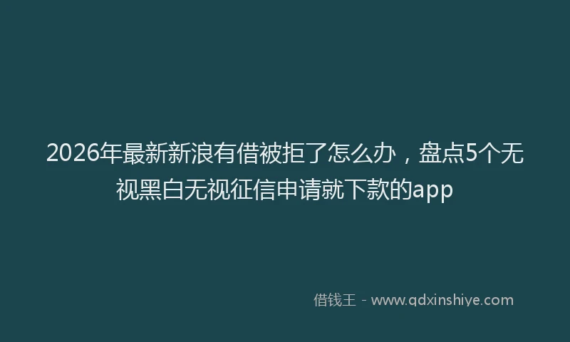 2026年最新新浪有借被拒了怎么办，盘点5个无视黑白无视征信申请就下款的app