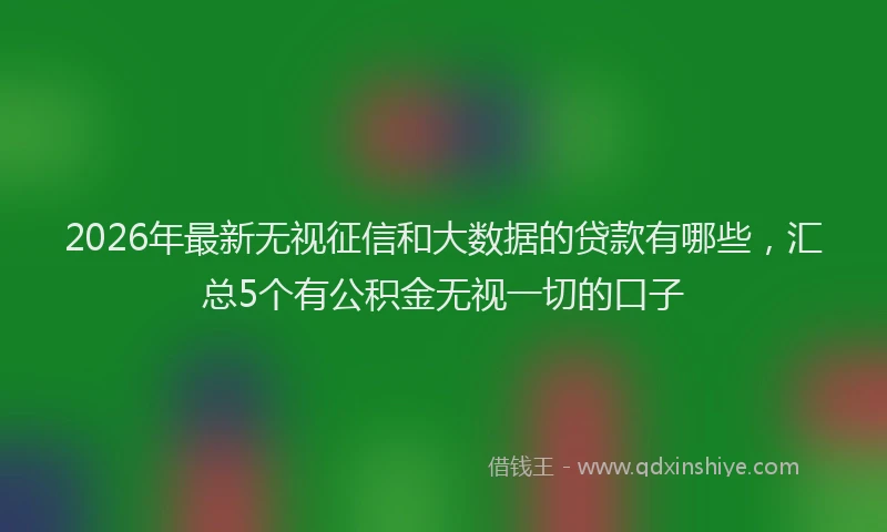 2026年最新无视征信和大数据的贷款有哪些，汇总5个有公积金无视一切的口子