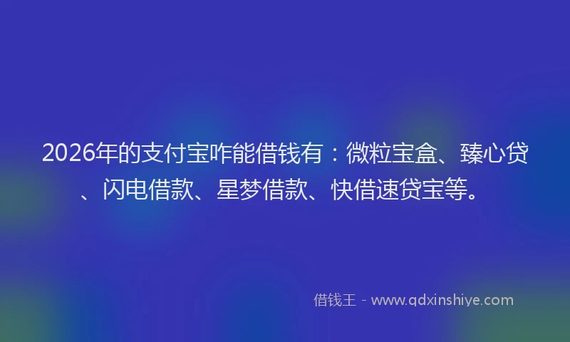 2026年的支付宝咋能借钱有：微粒宝盒、臻心贷、闪电借款、星梦借款、快借速贷宝等。