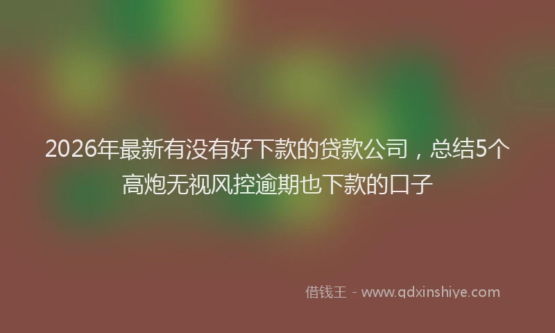 2026年最新有没有好下款的贷款公司，总结5个高炮无视风控逾期也下款的口子