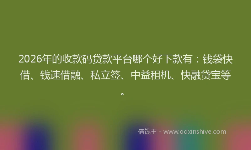 2026年的收款码贷款平台哪个好下款有：钱袋快借、钱速借融、私立签、中益租机、快融贷宝等。