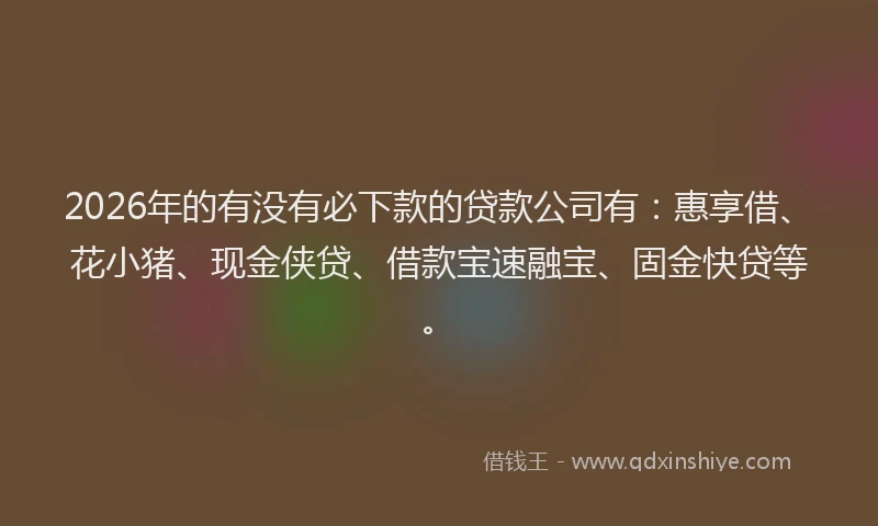 2026年的有没有必下款的贷款公司有：惠享借、花小猪、现金侠贷、借款宝速融宝、固金快贷等。