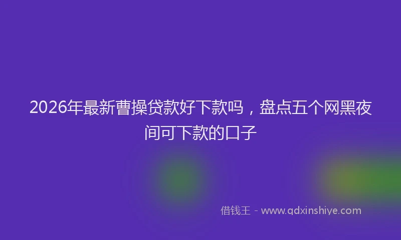 2026年最新曹操贷款好下款吗，盘点五个网黑夜间可下款的口子