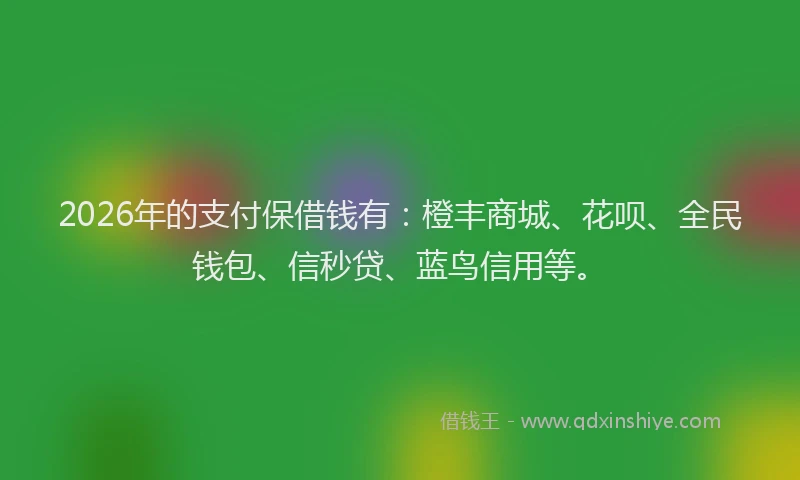 2026年的支付保借钱有：橙丰商城、花呗、全民钱包、信秒贷、蓝鸟信用等。