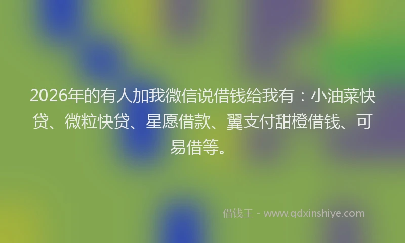 2026年的有人加我微信说借钱给我有：小油菜快贷、微粒快贷、星愿借款、翼支付甜橙借钱、可易借等。