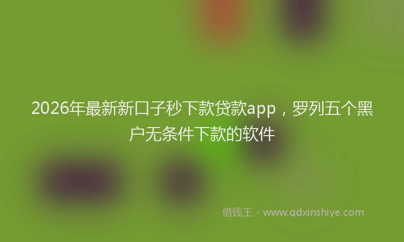 2026年最新新口子秒下款贷款app，罗列五个黑户无条件下款的软件