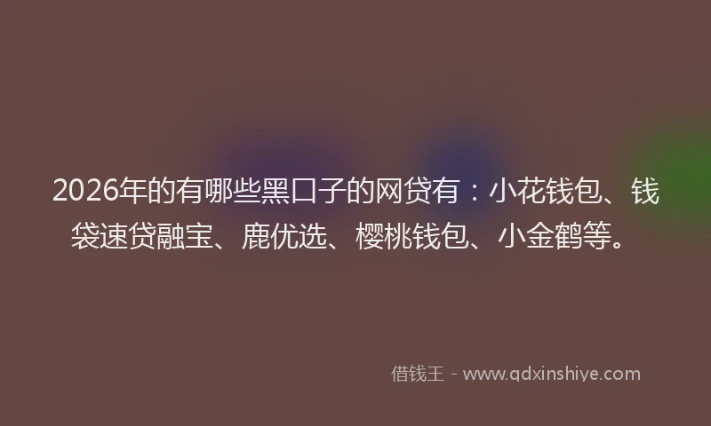 2026年的有哪些黑口子的网贷有：小花钱包、钱袋速贷融宝、鹿优选、樱桃钱包、小金鹤等。