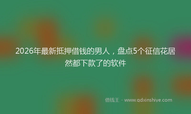 2026年最新抵押借钱的男人，盘点5个征信花居然都下款了的软件