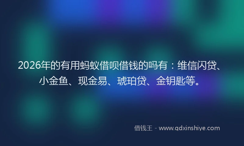 2026年的有用蚂蚁借呗借钱的吗有：维信闪贷、小金鱼、现金易、琥珀贷、金钥匙等。