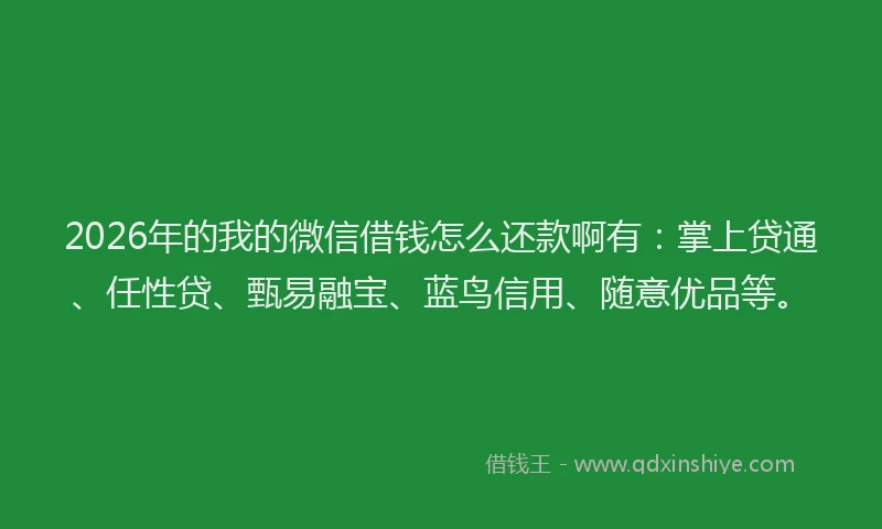 2026年的我的微信借钱怎么还款啊有：掌上贷通、任性贷、甄易融宝、蓝鸟信用、随意优品等。