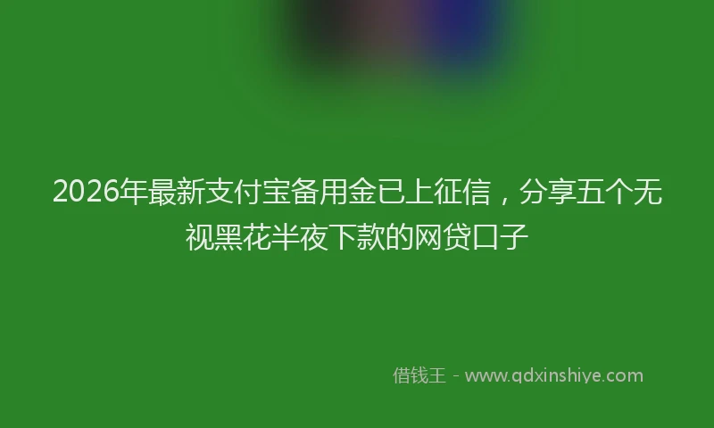 2026年最新支付宝备用金已上征信，分享五个无视黑花半夜下款的网贷口子