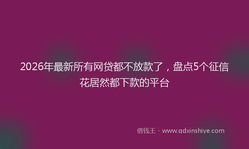 2026年最新所有网贷都不放款了，盘点5个征信花居然都下款的平台
