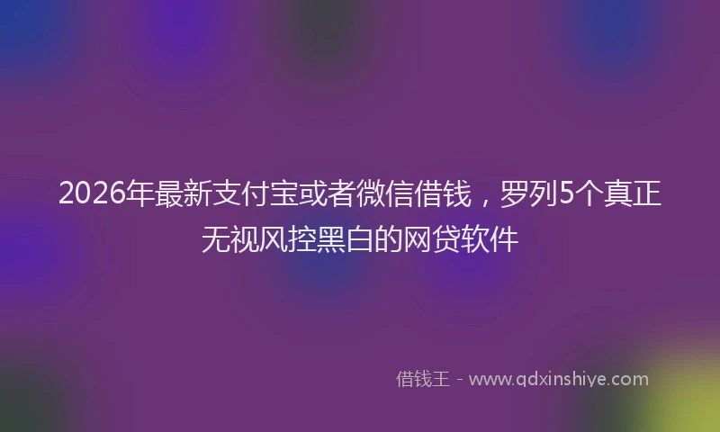 2026年最新支付宝或者微信借钱，罗列5个真正无视风控黑白的网贷软件