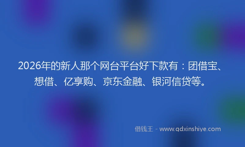 2026年的新人那个网台平台好下款有：团借宝、想借、亿享购、京东金融、银河信贷等。