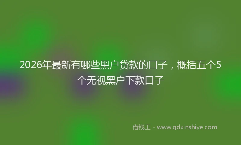 2026年最新有哪些黑户贷款的口子，概括五个5个无视黑户下款口子