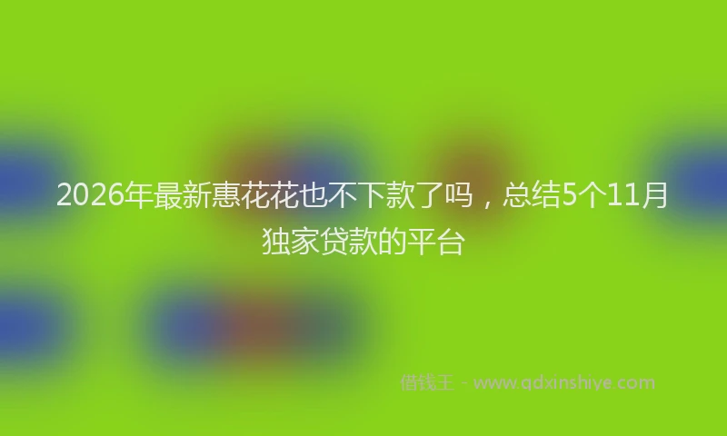 2026年最新惠花花也不下款了吗，总结5个11月独家贷款的平台
